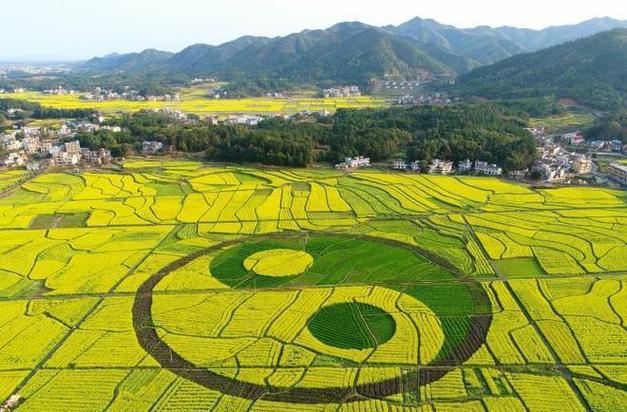 衡阳网站建设享有为太极-图1 衡阳网站建设享有为太极-图1