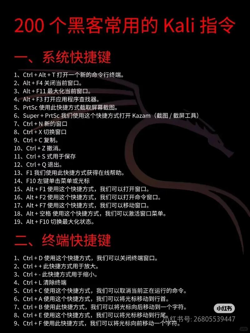 kali命令大全有哪些必备命令?-图3 kali命令大全有哪些必备命令?-图3