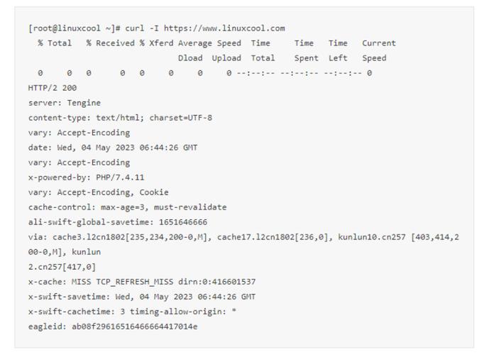 curl命令返回了什么？-图1