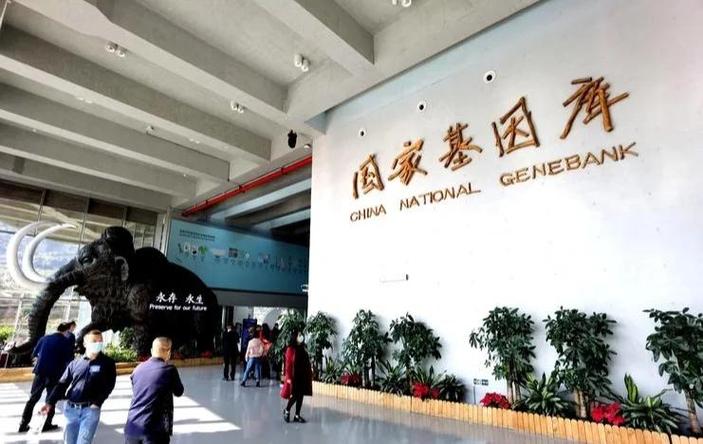 华大基因网站建设如何提升品牌与用户体验？-图3