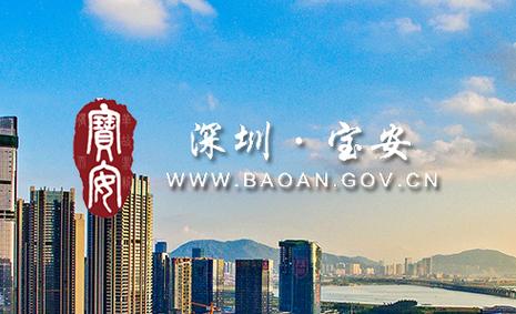 宝安led行业网站建设-图2 宝安led行业网站建设-图2