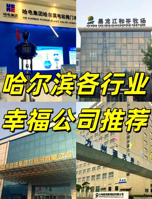 哈尔滨网站建设推广公司-图1