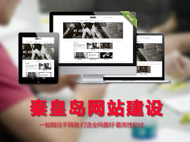 秦皇岛网站建设价格是多少？-图1