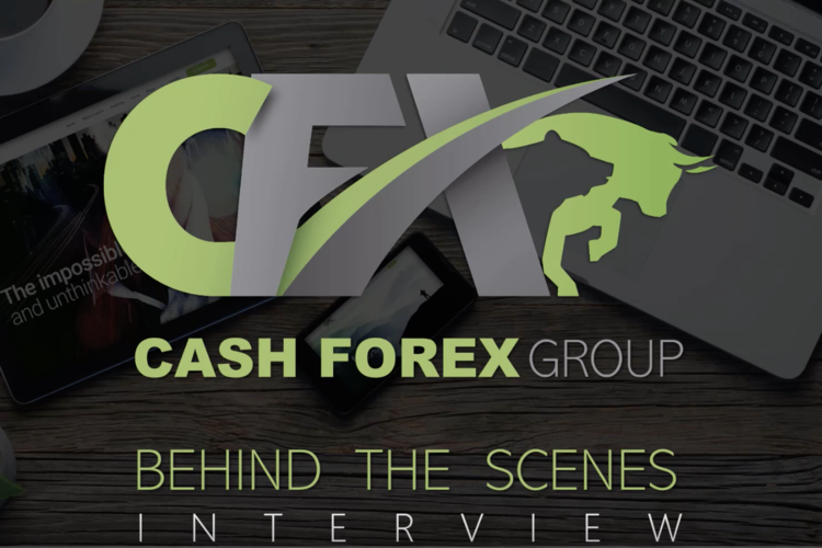 cfx命令流如何快速入门？-图2