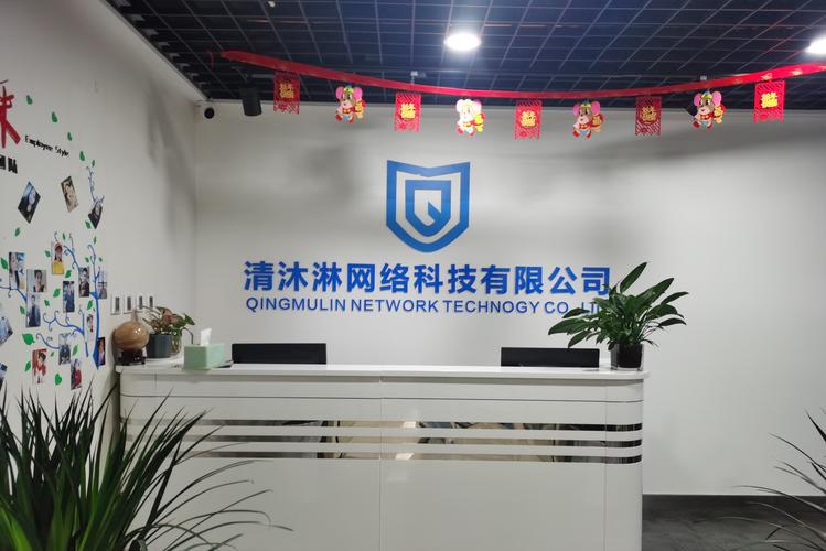 杭州网站建设洛洛科技，如何定制专属网站？-图2