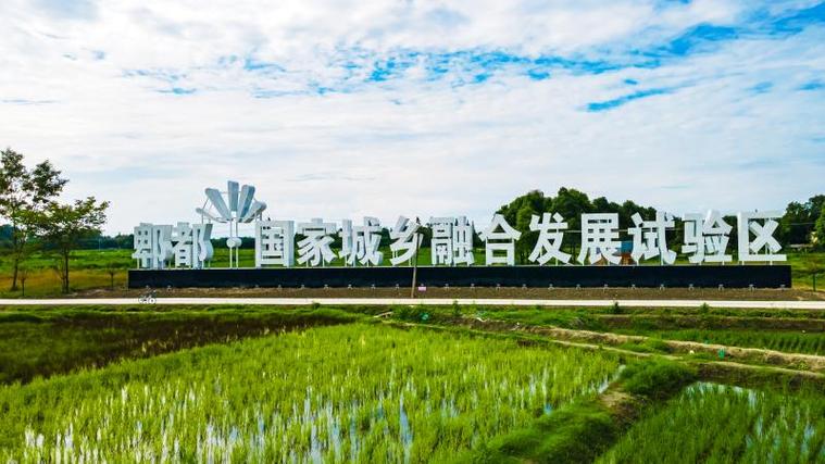 郫县网站建设哪家好？找专业团队定制！-图1