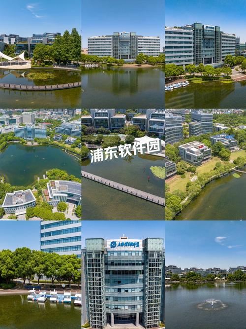 上海浦东服务网站建设-图2