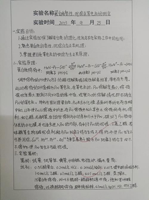 手机网站建设实验报告如何撰写？-图1