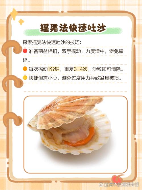 如何撩妹扇贝出水？-图2