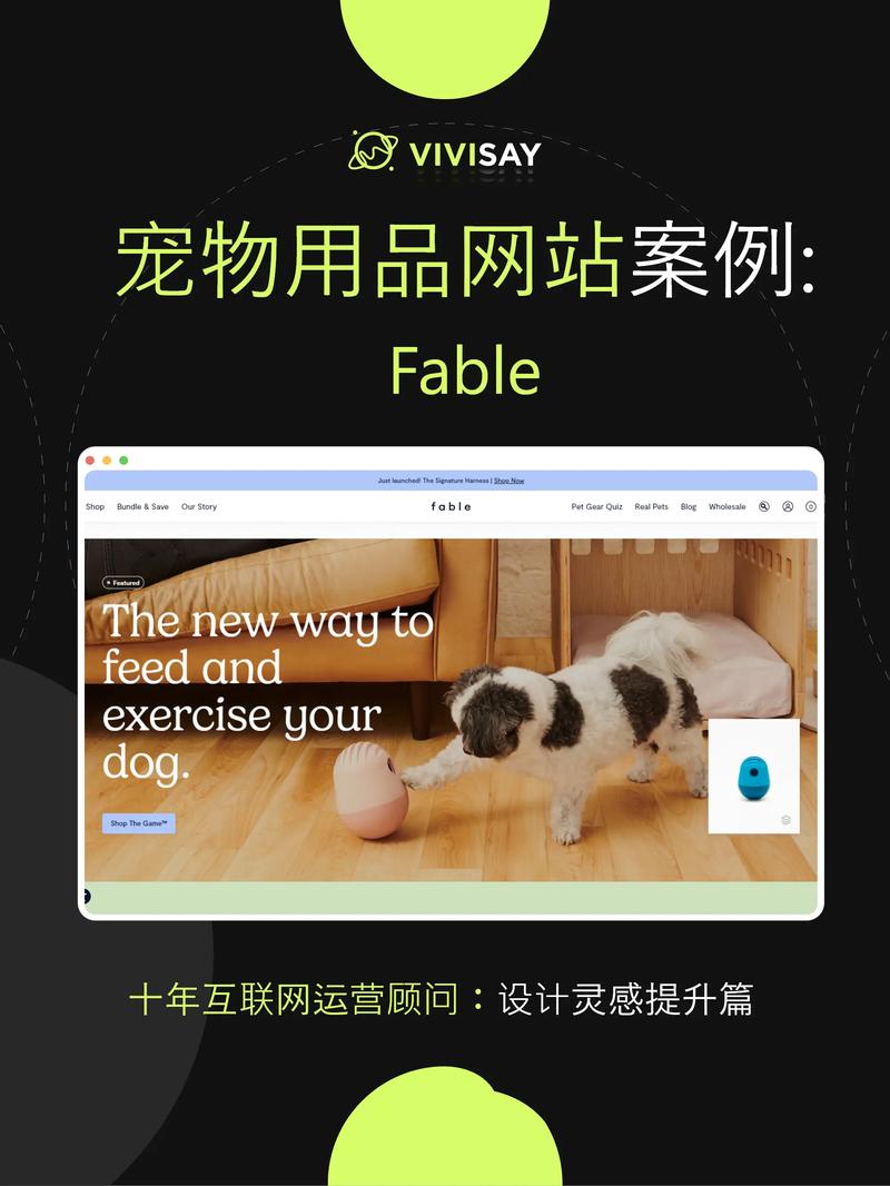 宠物网站开发建设,核心需求与关键难点是什么?-图1 宠物网站开发建设,核心需求与关键难点是什么?-图1