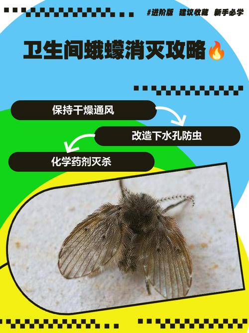 米娥子怎么彻底杀灭?-图3 米娥子怎么彻底杀灭?-图3