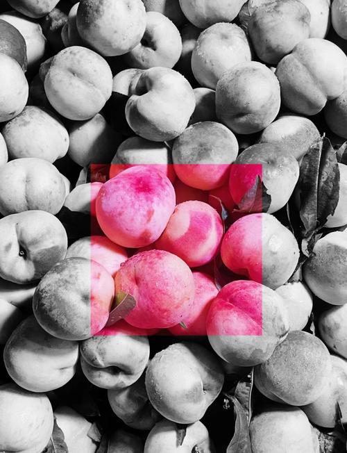 PS如何反转颜色?-图2 PS如何反转颜色?-图2