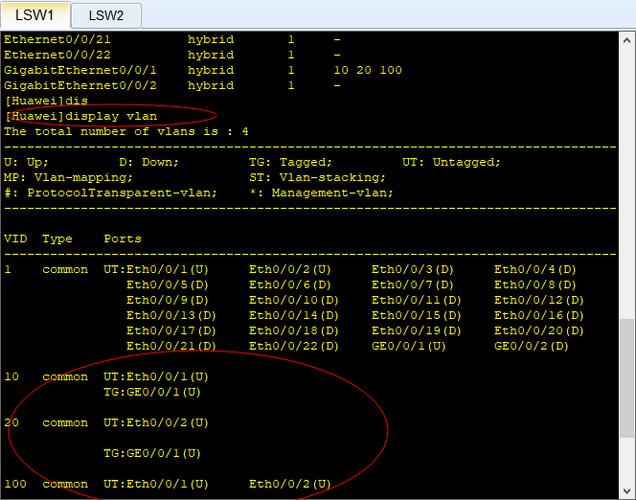 VLAN命令修改后如何验证生效?-图3 VLAN命令修改后如何验证生效?-图3