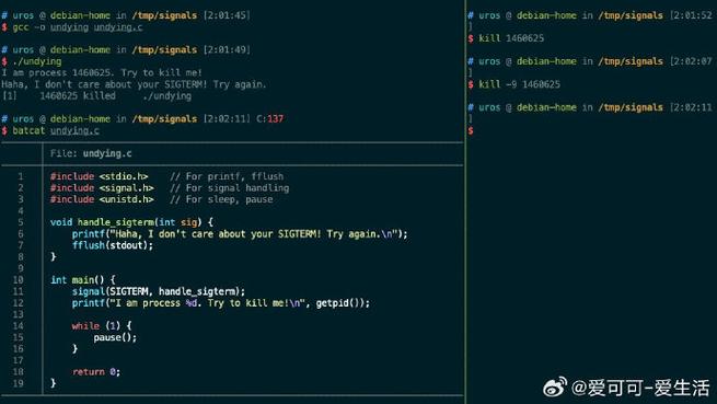 kill命令如何精准终止进程?-图1 kill命令如何精准终止进程?-图1