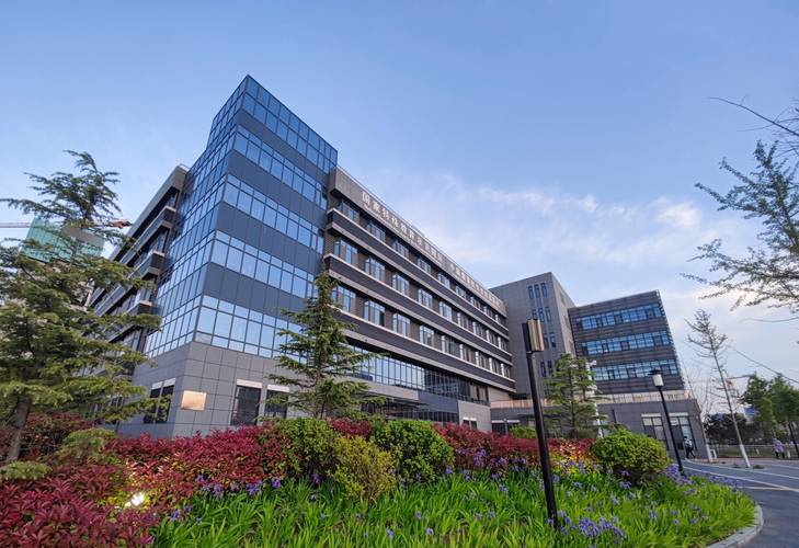 合肥滨湖网站建设公司哪家好？-图2