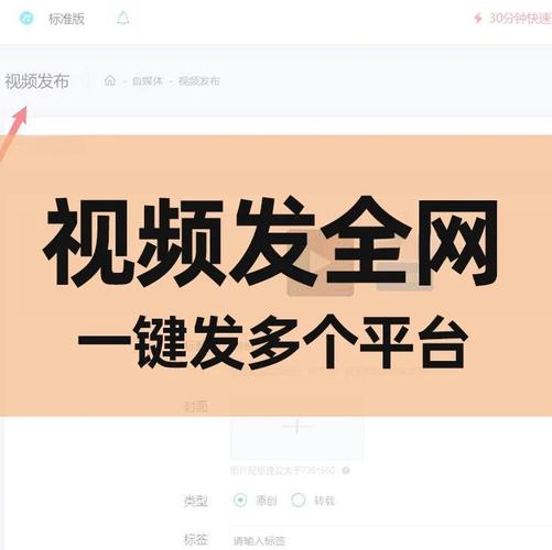 网站上如何添加视频-图3 网站上如何添加视频-图3
