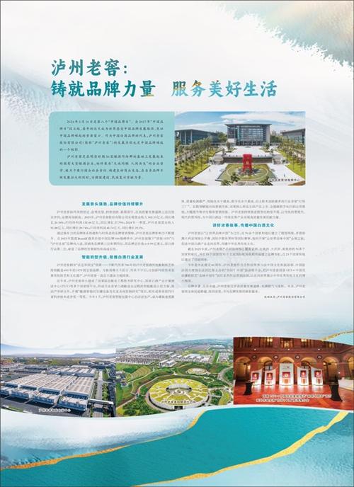 泸州做网站建设，哪家更靠谱？-图2