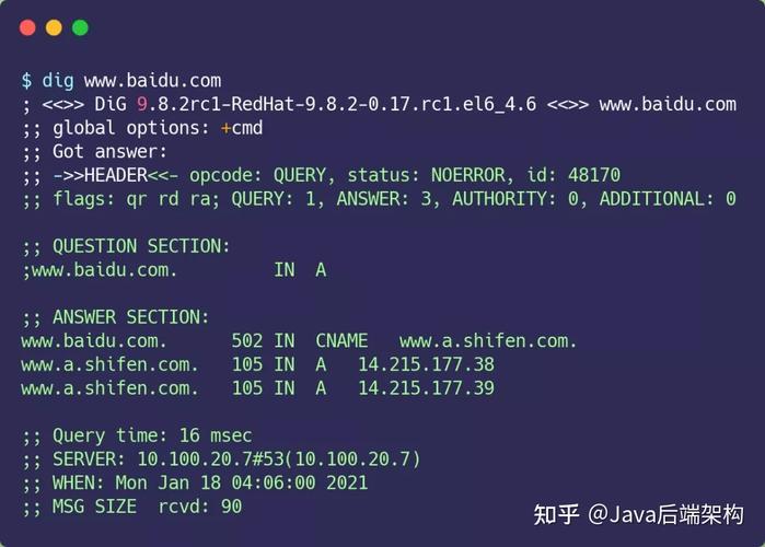 dns dig 命令-图1