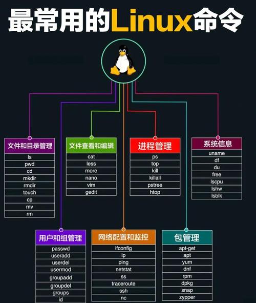 Linux筛选命令有哪些常用技巧?-图3 Linux筛选命令有哪些常用技巧?-图3