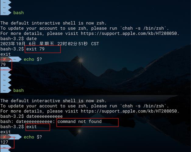 Shell 内部命令与外部命令有何本质区别?为何内部命令执行效率更高,且不依赖外部可执行文件?-图1 Shell 内部命令与外部命令有何本质区别?为何内部命令执行效率更高,且不依赖外部可执行文件?-图1