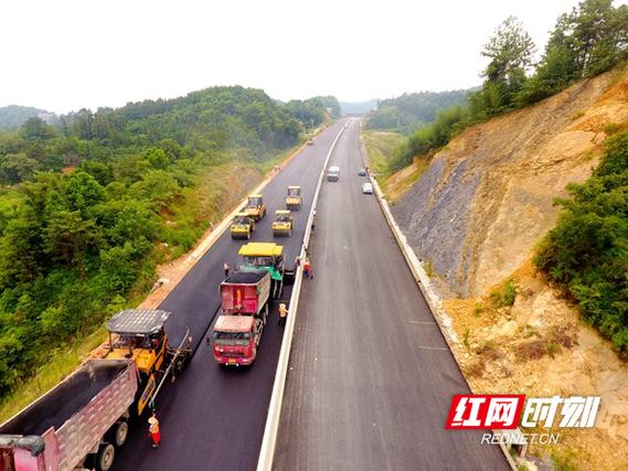 娄底网站建设79ld，如何打造适配本地市场的专业网站？-图2