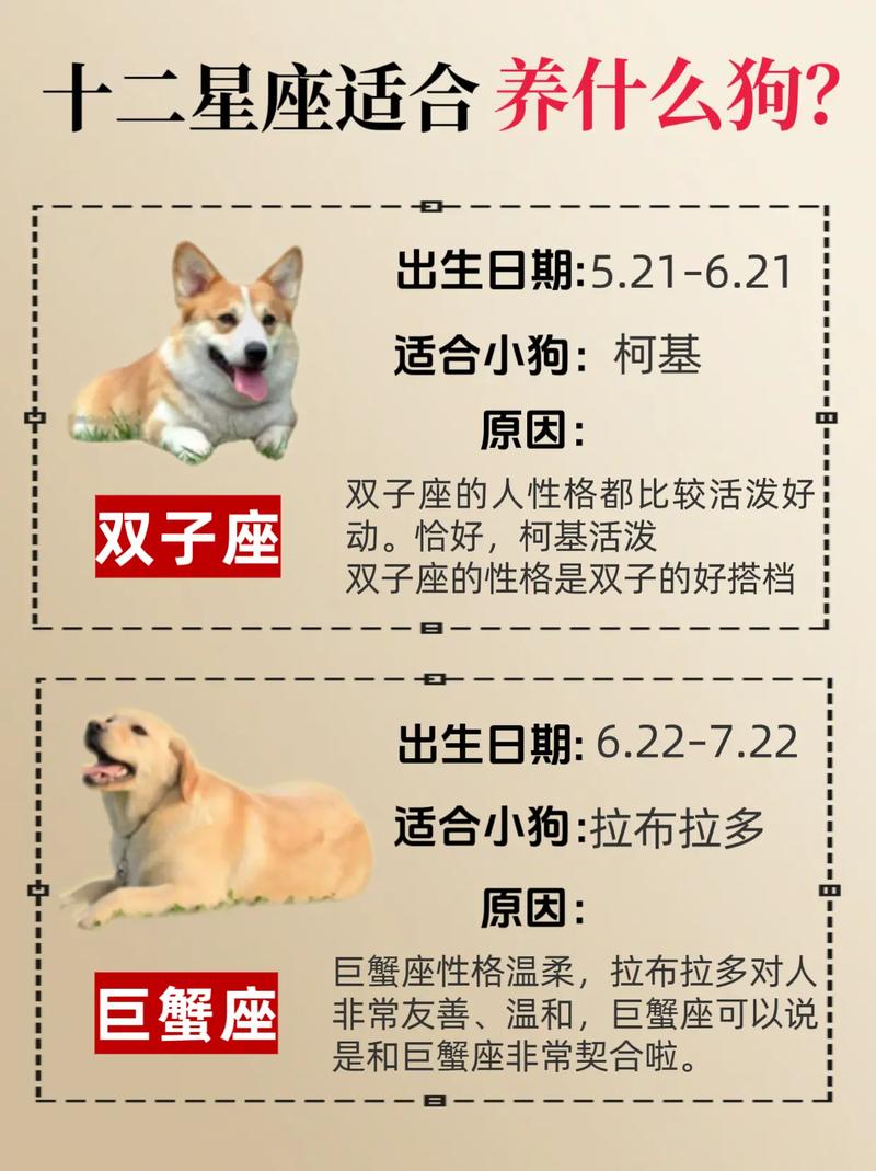 天秤女属狗的婚姻运势如何?性格与生肖会带来哪些影响?-图2 天秤女属狗的婚姻运势如何?性格与生肖会带来哪些影响?-图2