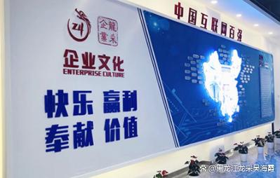 哈尔滨建网站公司哪家好？-图2