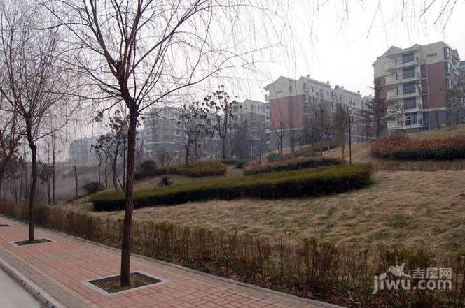 郑州网站建设居易国际如何打造专业官网?-图2 郑州网站建设居易国际如何打造专业官网?-图2