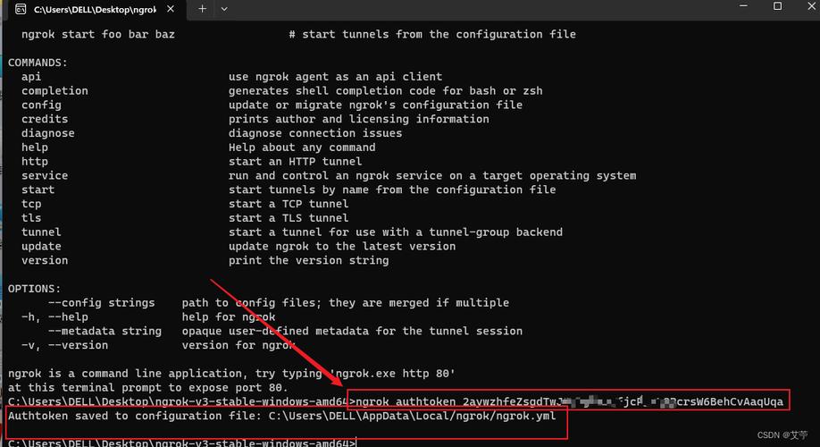 ngrok命令怎么用?如何配置内网穿透?-图1 ngrok命令怎么用?如何配置内网穿透?-图1