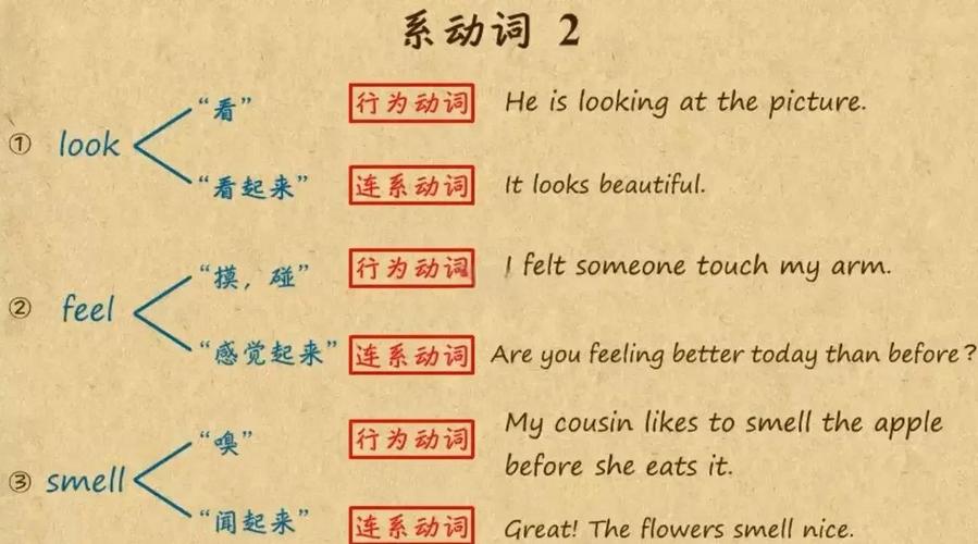 look命令怎么用？-图1