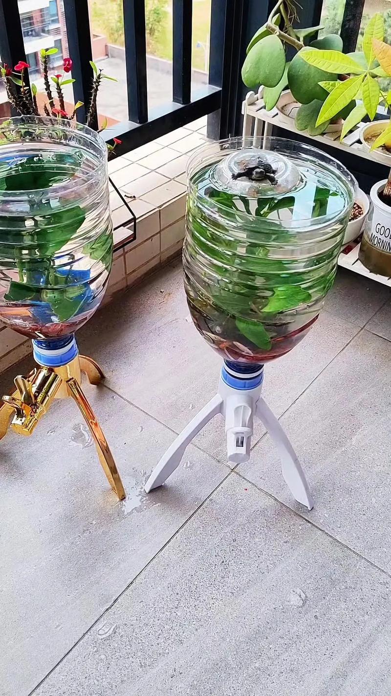 桶装水开发的关键步骤有哪些?-图1 桶装水开发的关键步骤有哪些?-图1