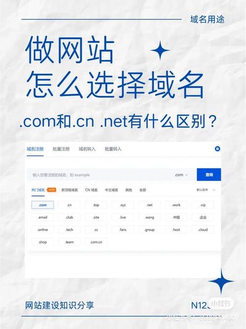 如何查域名注册人信息？-图2