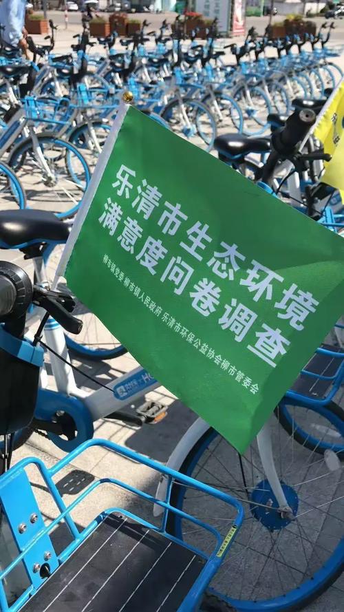 乐清柳市网上建设平台有何作用？-图3