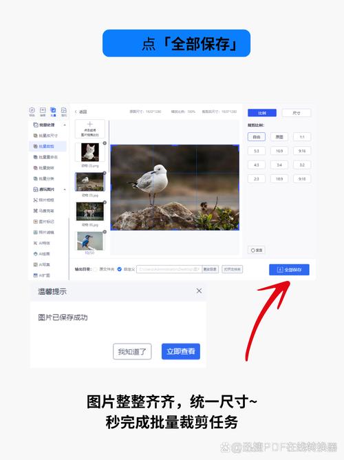 网站编辑如何上传图片？-图3