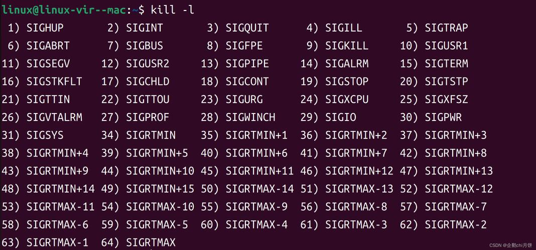 tiptop命令如何使用？-图1