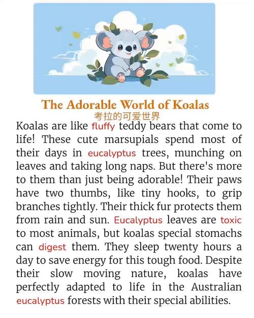 考拉英语培训效果究竟怎么样？-图3