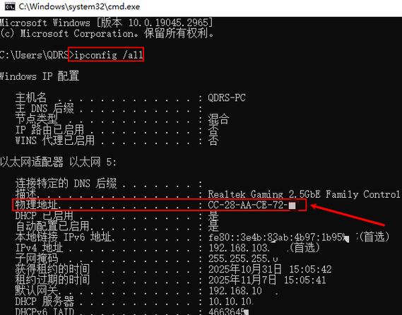 网络查询命令是什么意思-图2