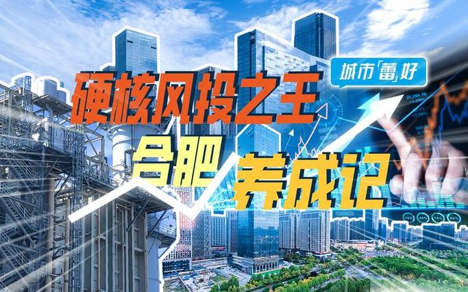 合肥缘何涉足网络赌博网站建设？-图2