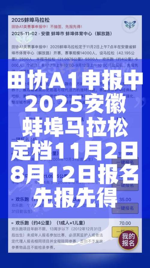 蚌埠2025网站建设如何规划落地？-图2