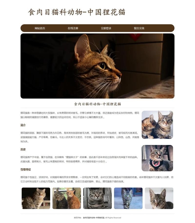 猫咪网站建设项目简介的核心目标是什么？-图1