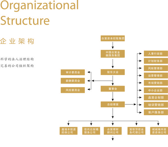 金融公司官网建设的关键步骤是什么？-图2