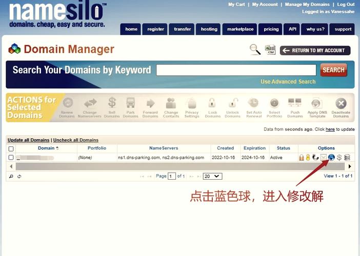 新域名如何正确指向网站?-图1 新域名如何正确指向网站?-图1