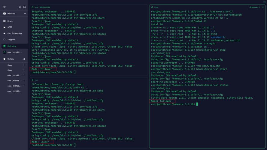 ZooKeeper启动命令行有哪些常用参数？-图1