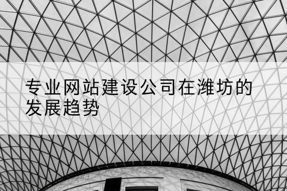 潍坊国际网站建设效果如何衡量？-图1