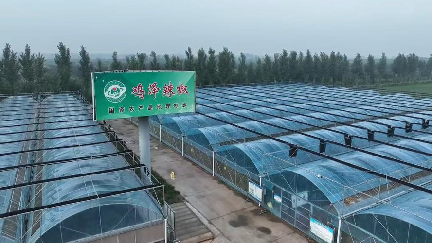 鸡泽集团网站建设哪家好?-图2 鸡泽集团网站建设哪家好?-图2