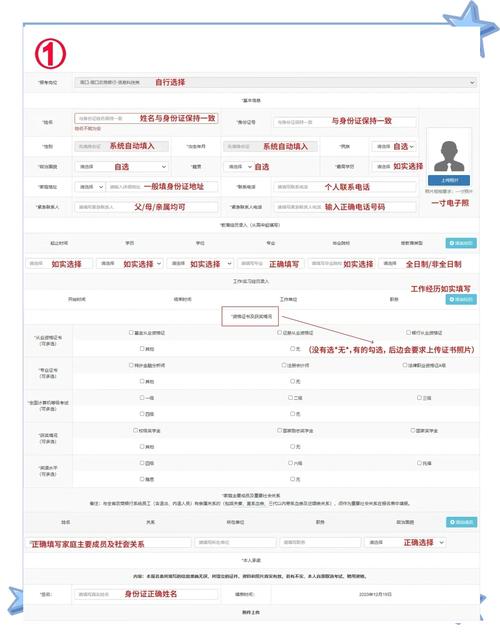 营销网络具体要怎么填？-图1