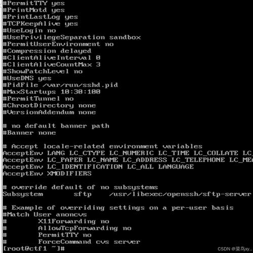 Ubuntu服务器常用命令有哪些？-图1