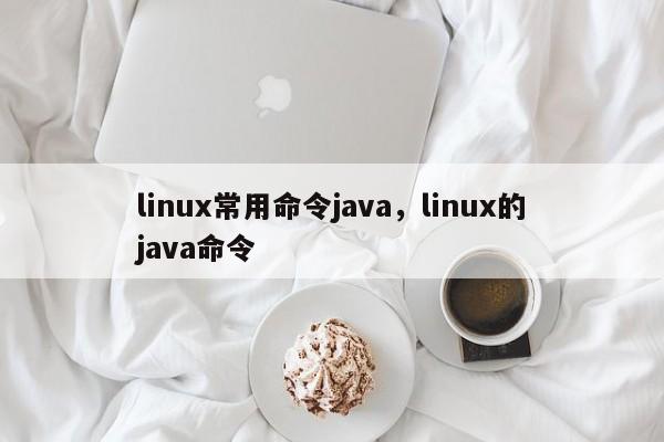 linux常用命令java，linux的java命令-图1