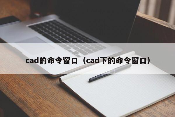 cad的命令窗口（cad下的命令窗口）-图1