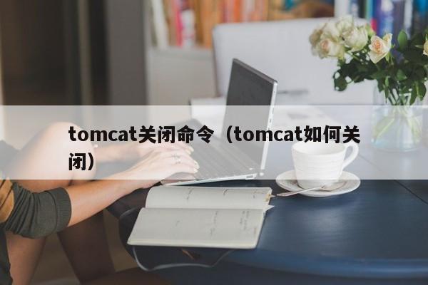tomcat关闭命令（tomcat如何关闭）-图1